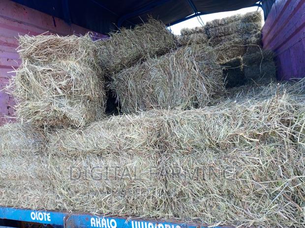 Pure Bomarhoded - main view