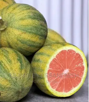 Variegrated Lemon Moq 5