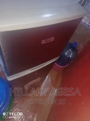 Fridge Condenser Change and Service