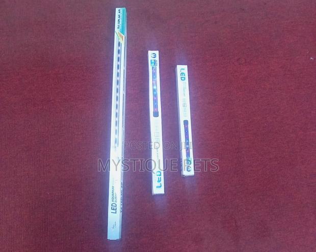 Submassible Lights - main view