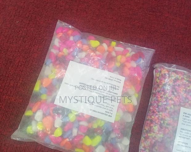 Coloured Pebbles - thumbnail 4