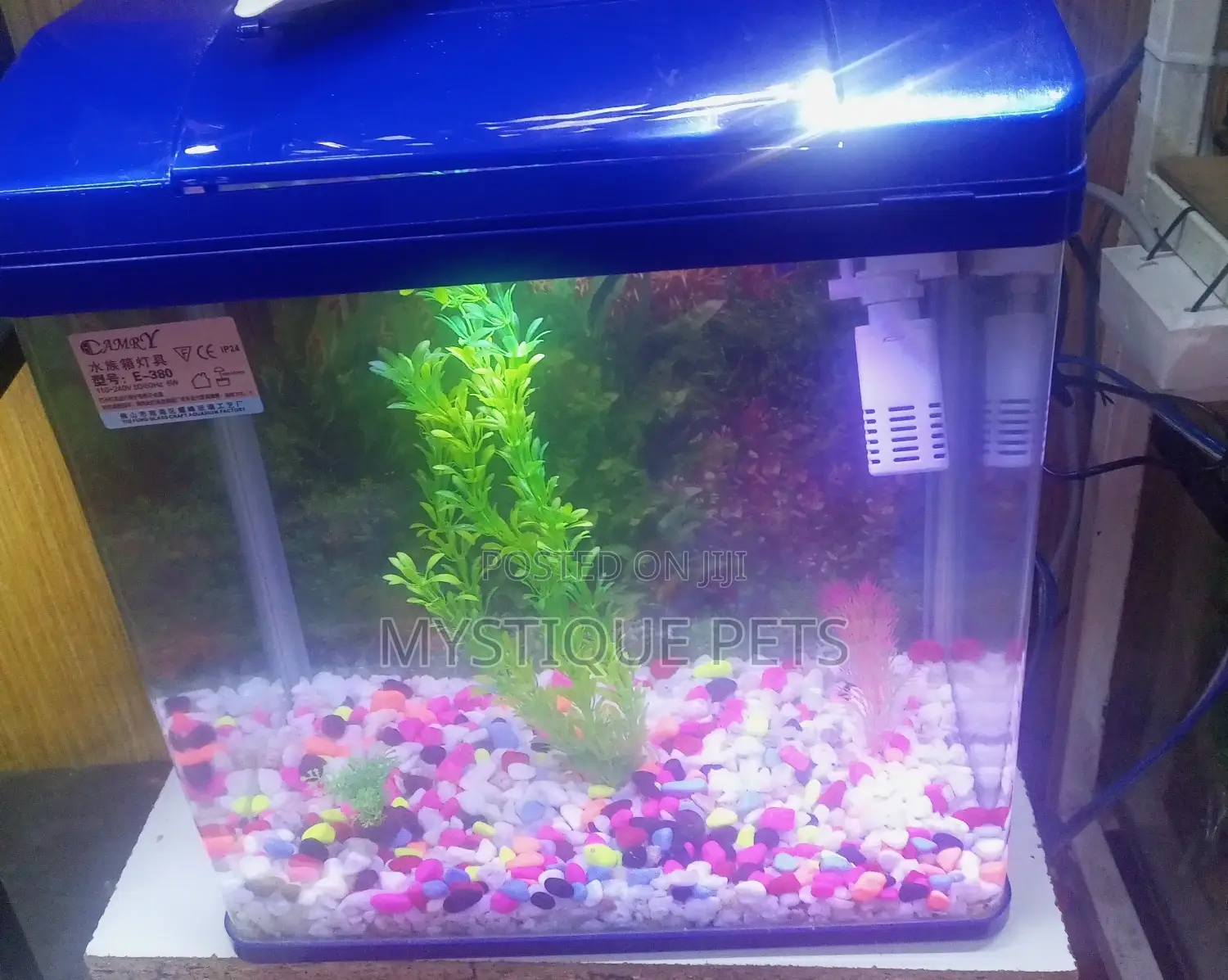 Imported Aquarium