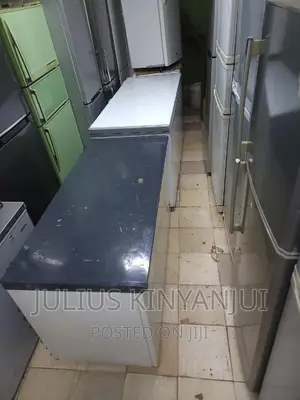 Deep Freezer 450l