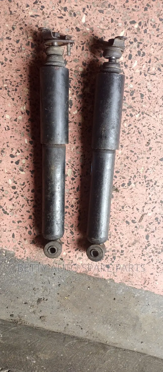 Isuzu Trooper Front Shocks