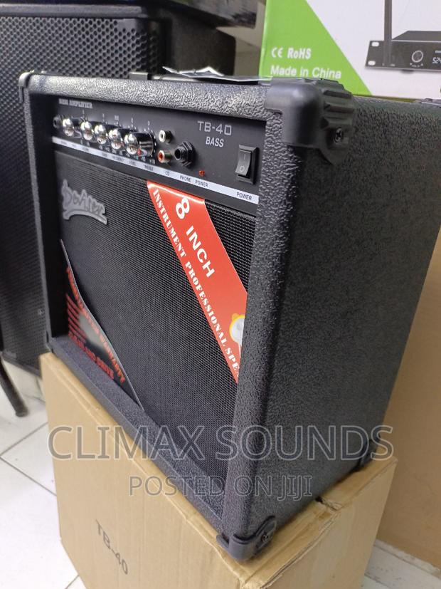 TB-40 Bass Guitar Combo Amplifier