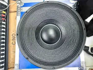 Nr 15wf535 Professional Speaker 15inch Midbass