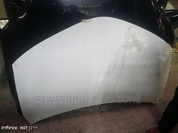 Fielder 165 Bonnet 2018 Model.