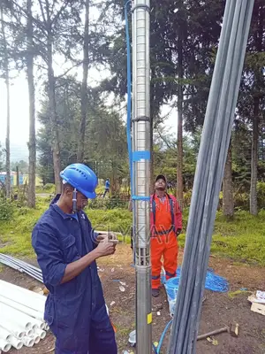 Borehole Pump Installation and Lowering Services
