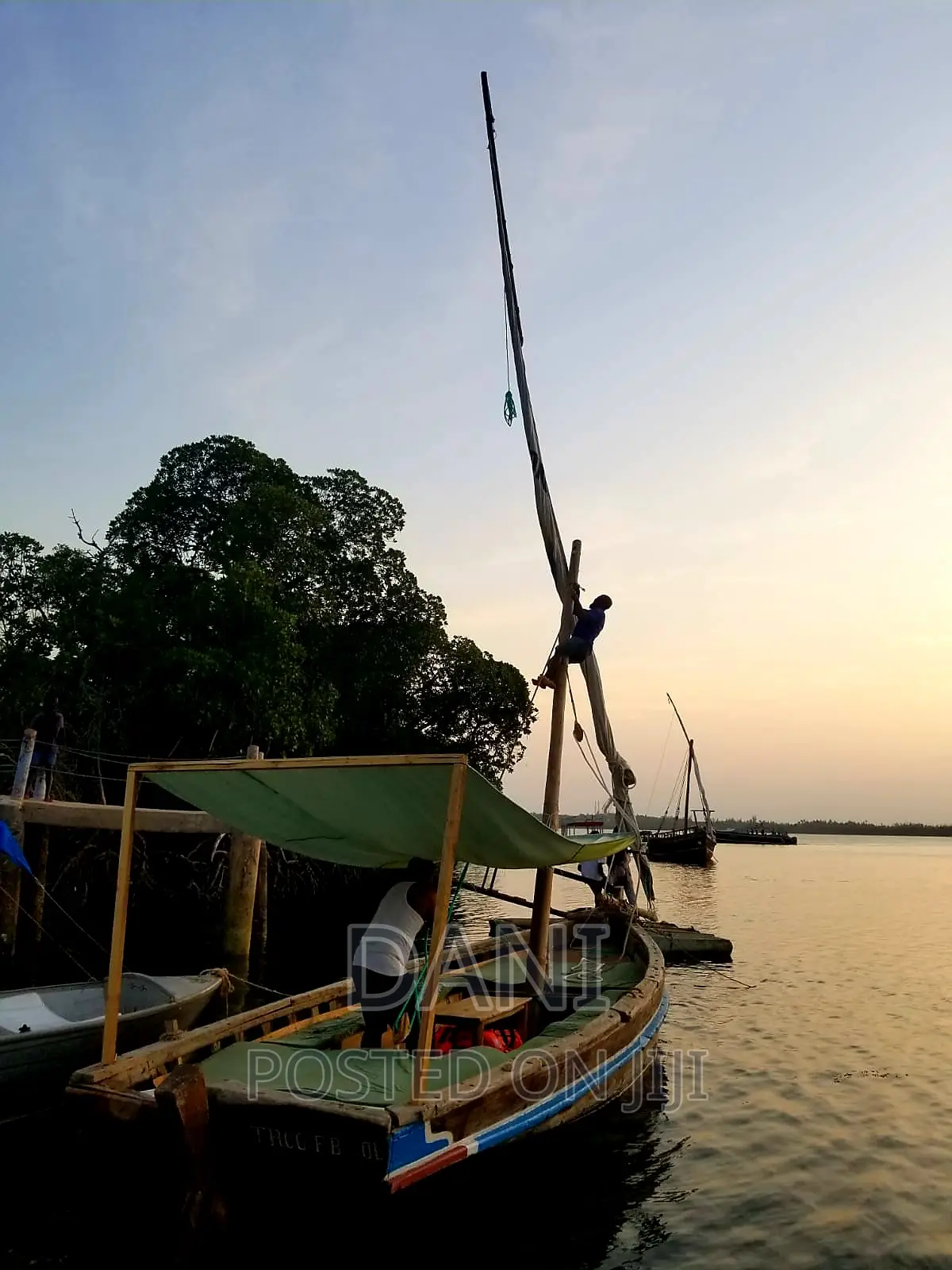 Dhow Sail Boat
