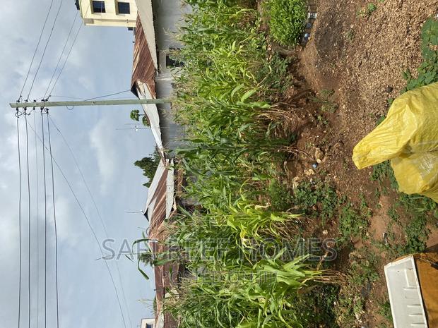 Plot for Sale Kongowea 40 by 70 With Tittle - thumbnail 5
