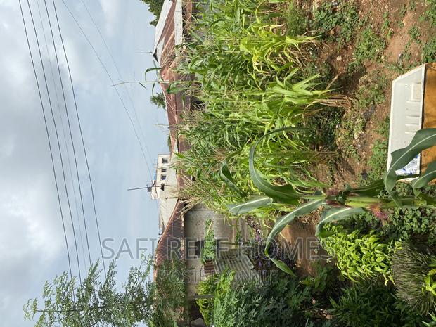 Plot for Sale Kongowea 40 by 70 With Tittle - thumbnail 10