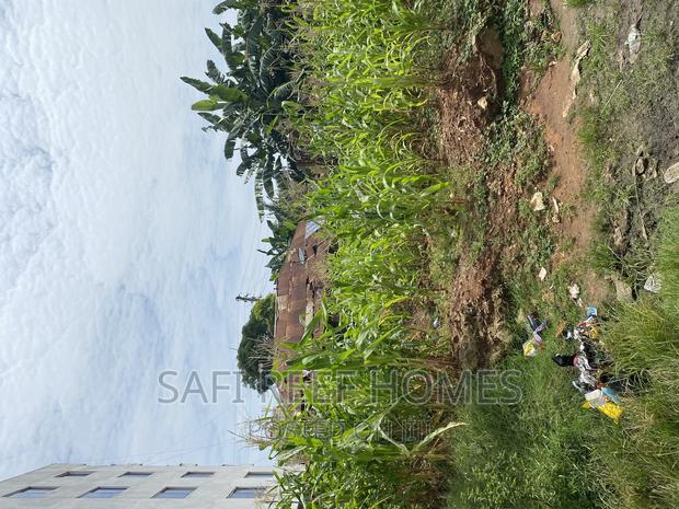 Plot for Sale Kongowea 40 by 70 With Tittle - thumbnail 8
