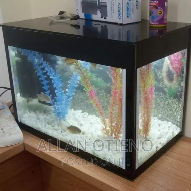 Mini Desktop Aquariums. - thumbnail 8