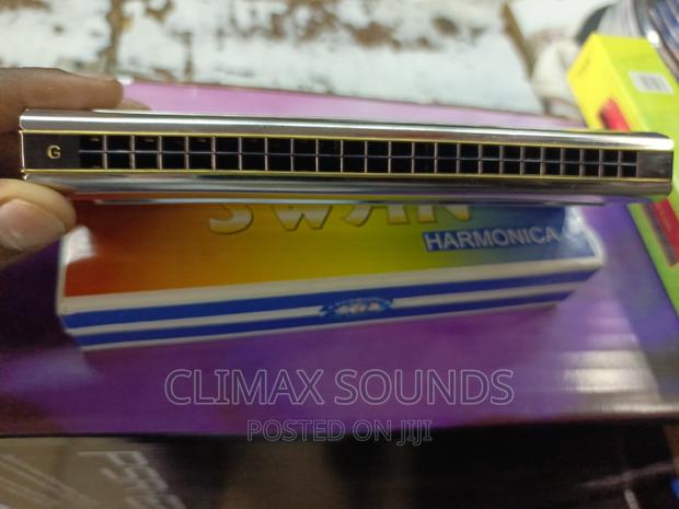 Harmonica Double Side - main view