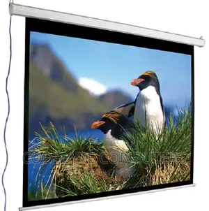 Auto Electric Projector Screen 240 X 240