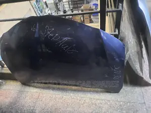 Toyota Fielder 2012 161 Bonnet