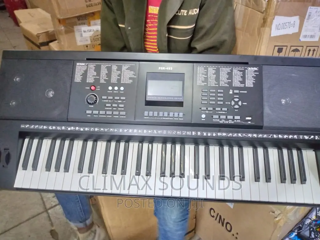 Professional Electronic Keyboard PSR -493 , S