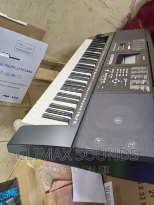 Professional Electronic Keyboard PSR -493 , S