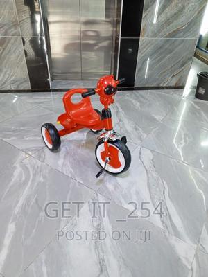 Musical Tricycle - main view