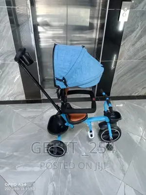 Push Tricycle With Canopy