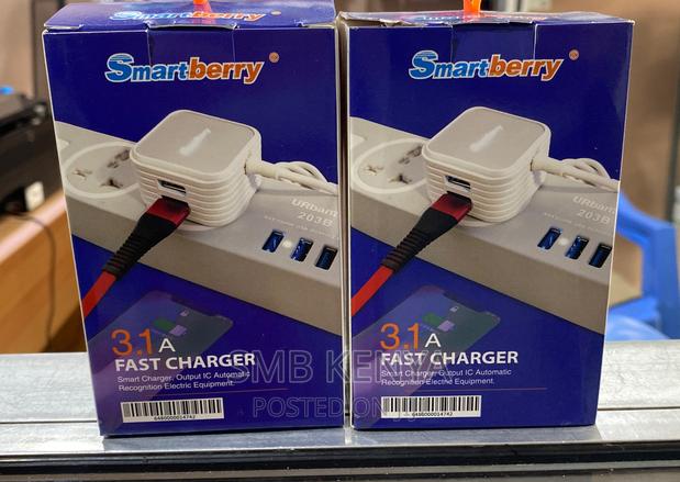 Android Fast Charger Dual Port 3.1A - main view