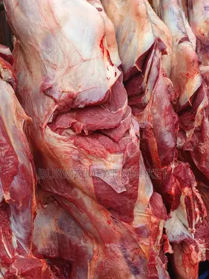 Wholesale Quality Beef