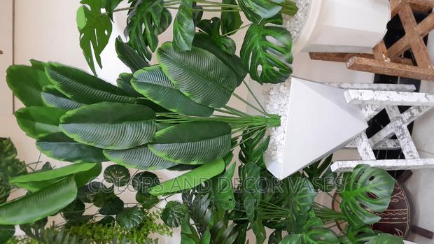 Banana Plant With Plastic Vase and Pebble Stones