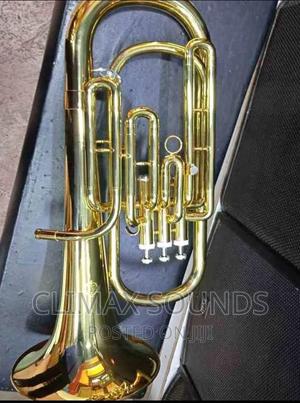 Baritone Wind Instrument - main view