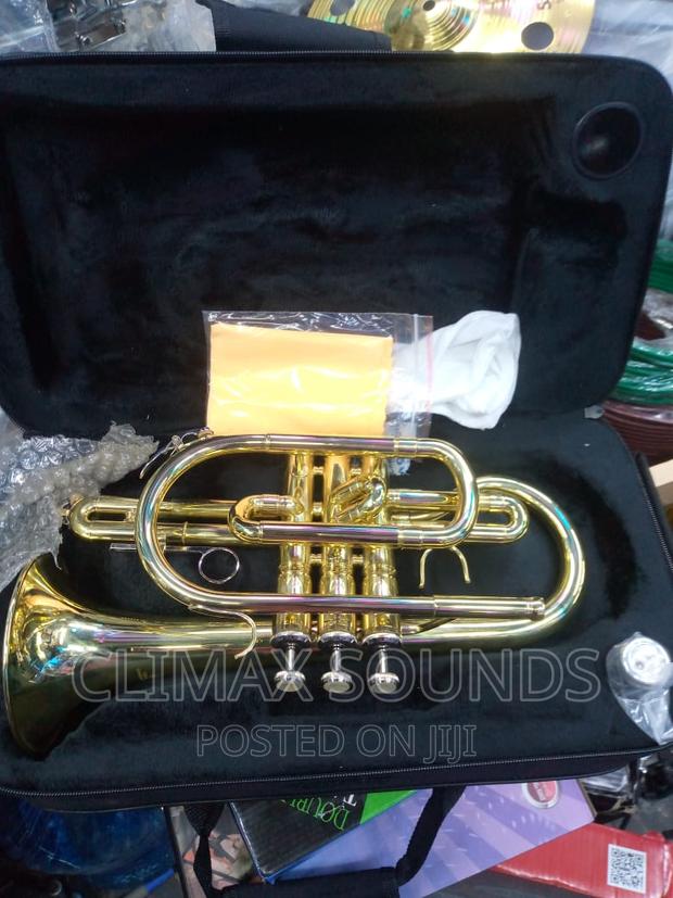 Cornet Suzukis