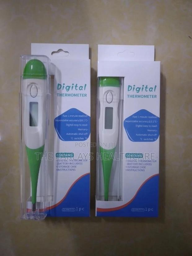 Digital Thermometer. - main view