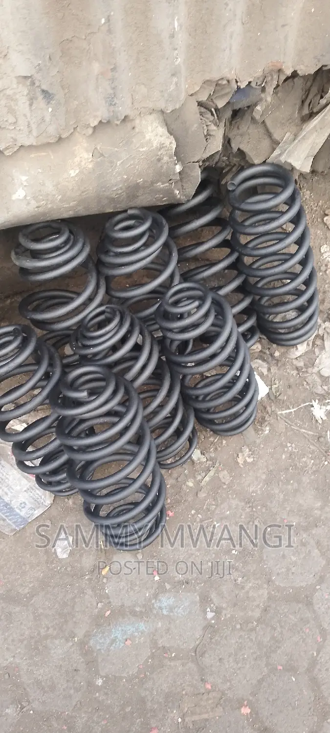 Nissan Note Serena Lafesta Wingroad Heavy Duty Coil 