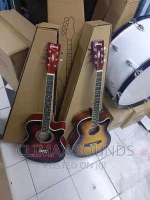 Semi Acoustic Guitar Gibsony 40,