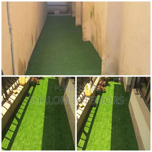 Grass Carpet Grass Carpet Grass Carpet Grass Carpet Grass