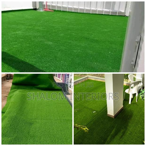 Grass Carpet Grass Carpet Grass Carpet Grass Carpet Grass