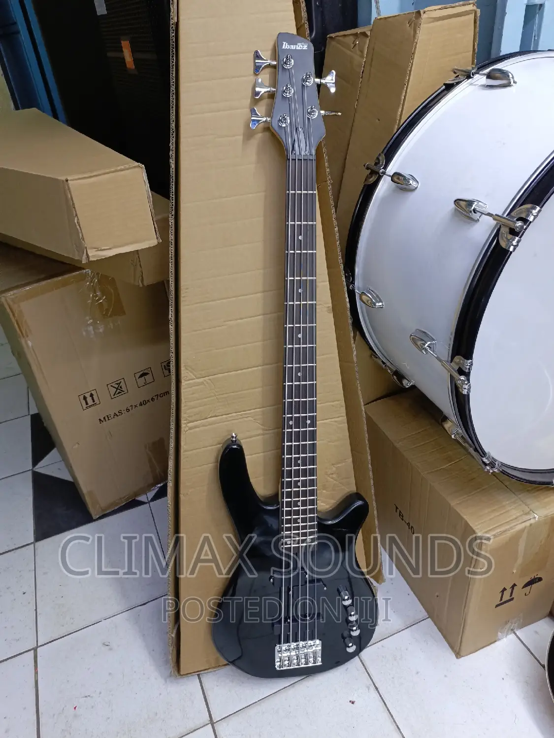 5 String Bass Guitar Ibanezs 