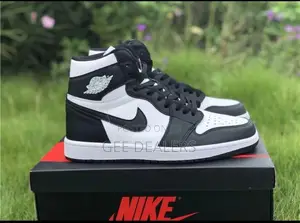 Jordan 1 High Top Sneakers