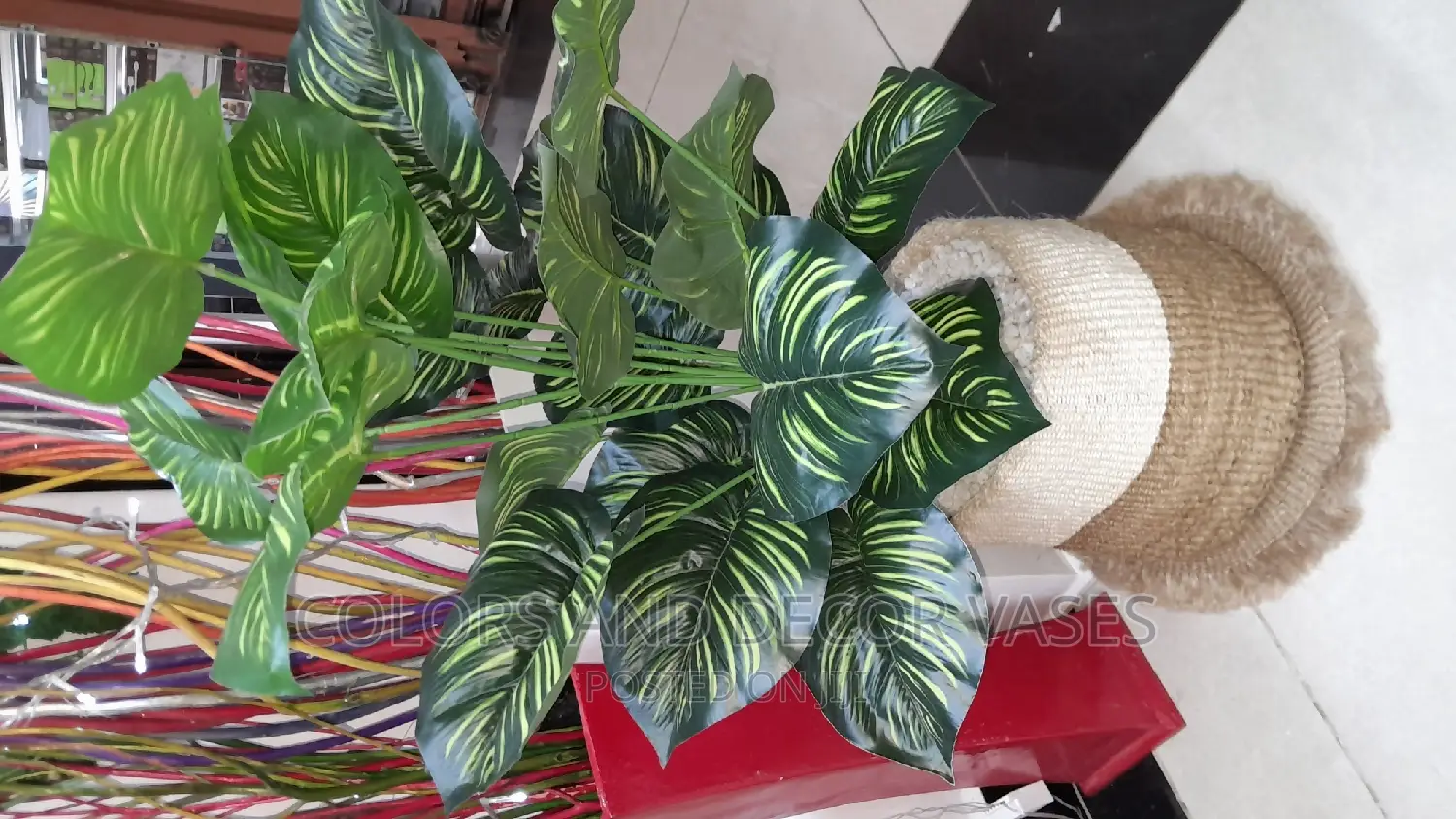Big Plant and Basket With Pebble Stones