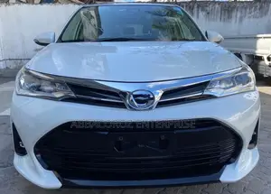 Toyota Corolla Fielder 2016 Gray