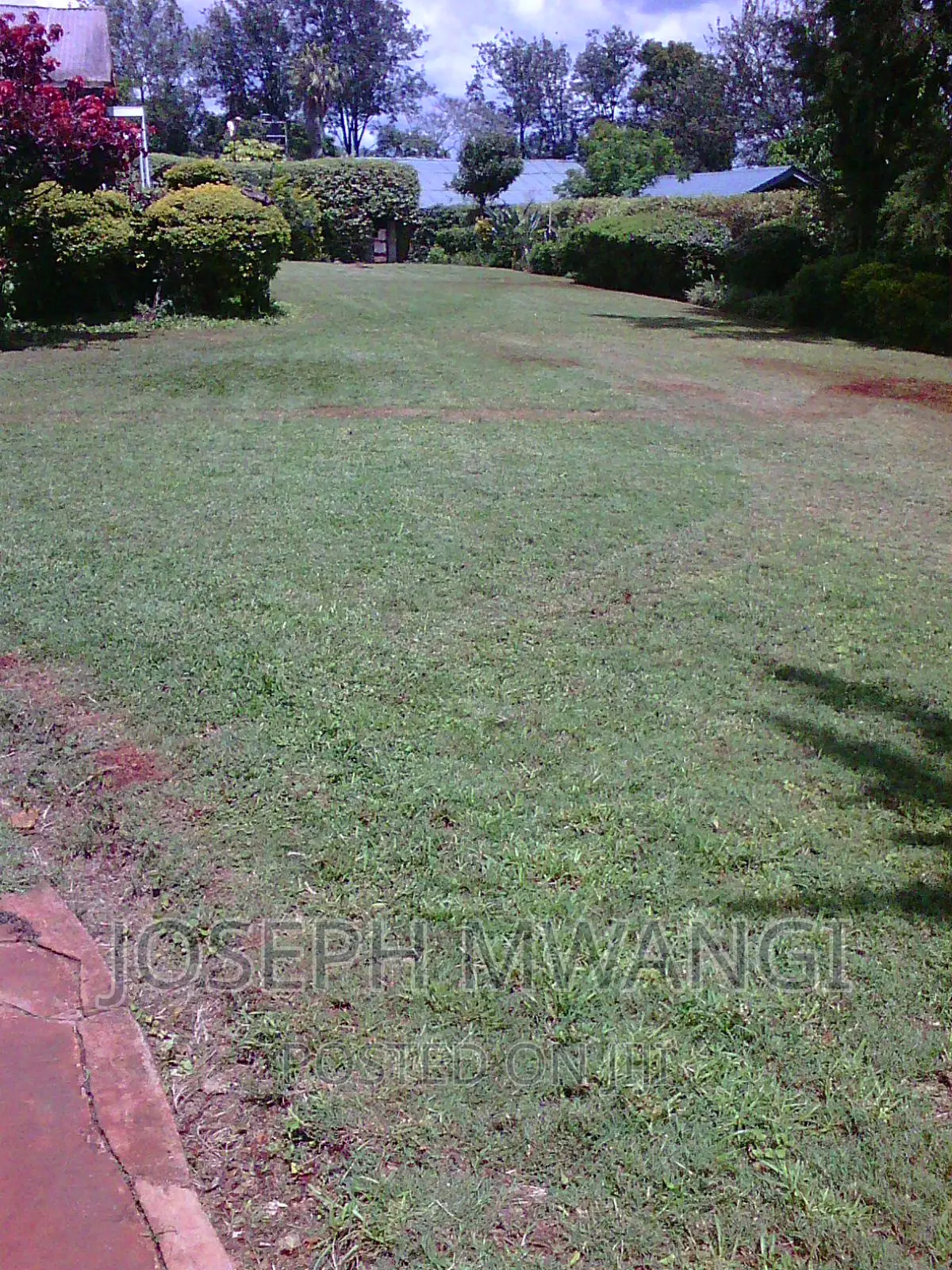 Lawn Mowing Services
