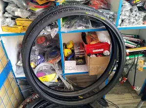 Ralson Rock on 700x40c Bicycle Tyre