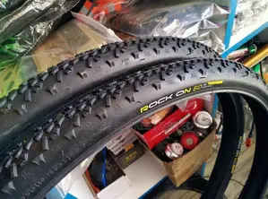 Ralson Rock on 700x40c Bicycle Tyre