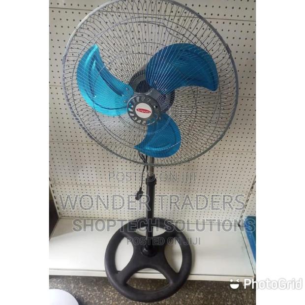 Viegapro Standing Fun - main view