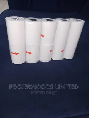 Cost-Effectiive 57*40*13 Unwrapped Thermal Rolls