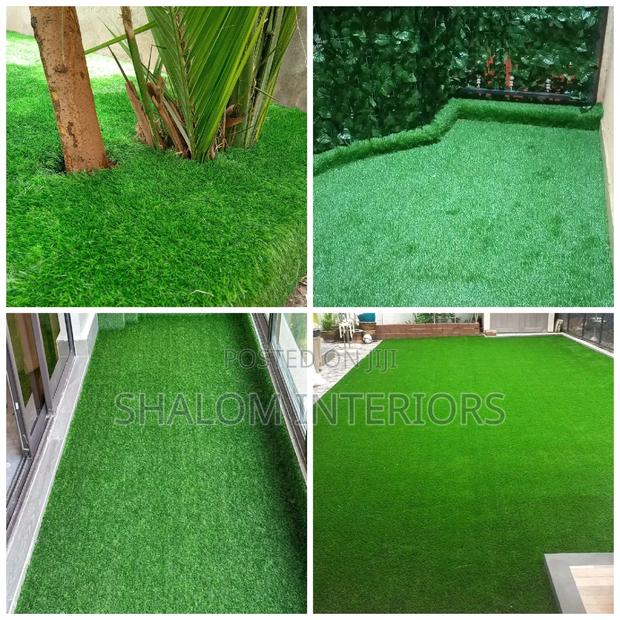 Grass Carpet Grass Carpet Grass Carpet Grass Carpet Grass