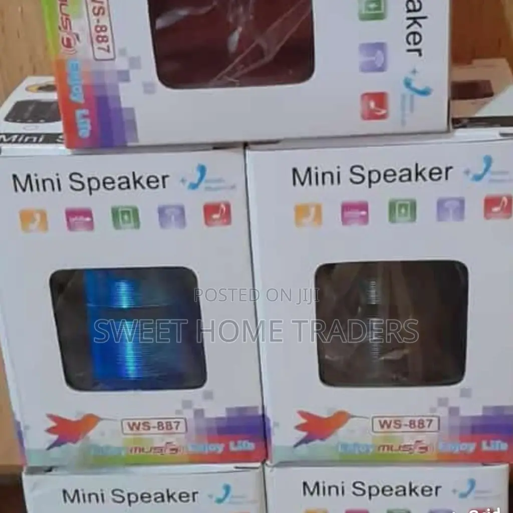 Wster Mini Bluetooth Speakers With FM Radio