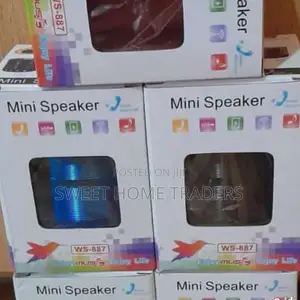 Wster Mini Bluetooth Speakers With FM Radio
