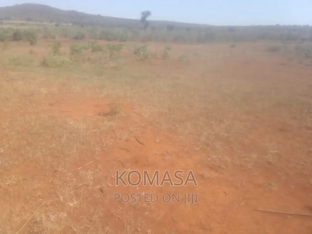 13 Acres for Sale
