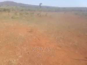 13 Acres for Sale