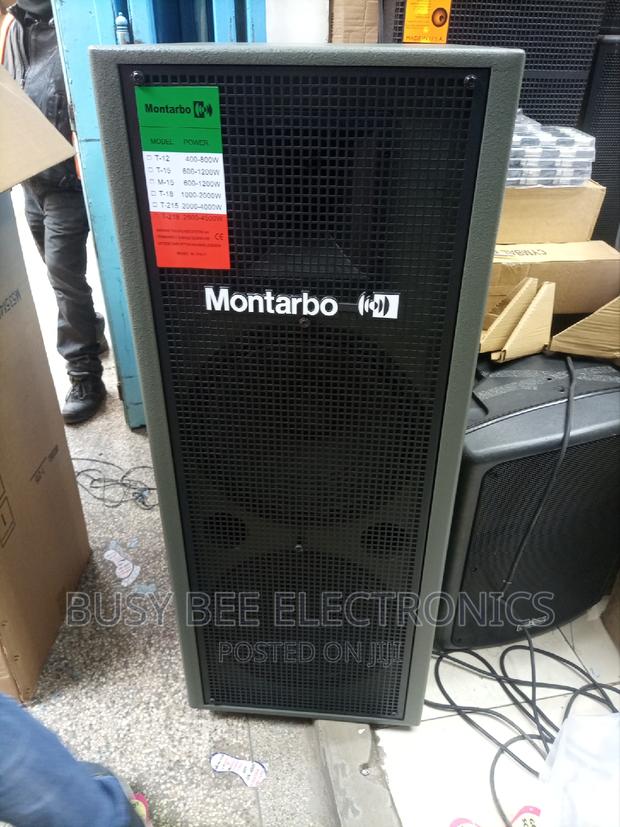 Montarbo Full Range Speaker - main view