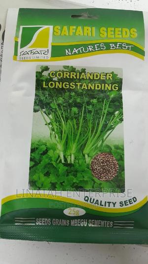 Coriander Long Standing 25gms - thumbnail 2